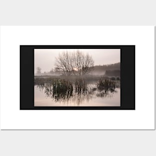 Water Meadow Mist Posters and Art